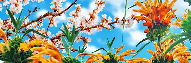 digital proof for 3d lenticular