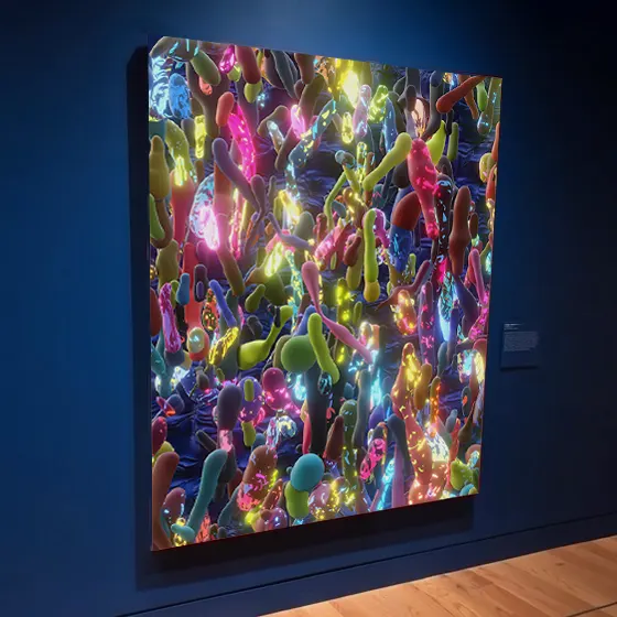 lenticular art murals