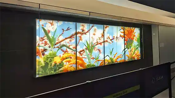 lenticular art by Robin Gibson