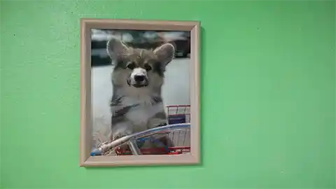 lenticular interlacing