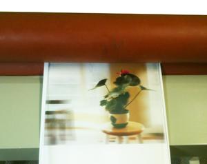 Lenticular lamination