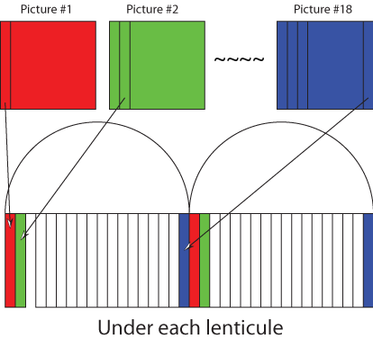 lenticular stripe