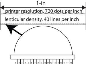 Lenticular Printing on Epson Printers